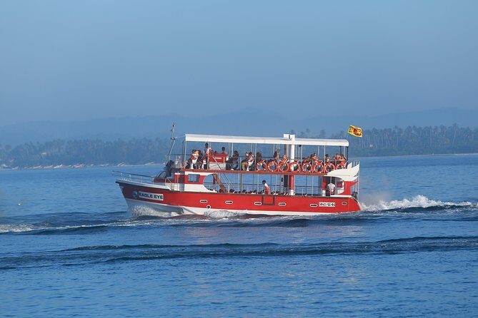 Whale Watching Mirissa with Eagle Eye - The Sum Up