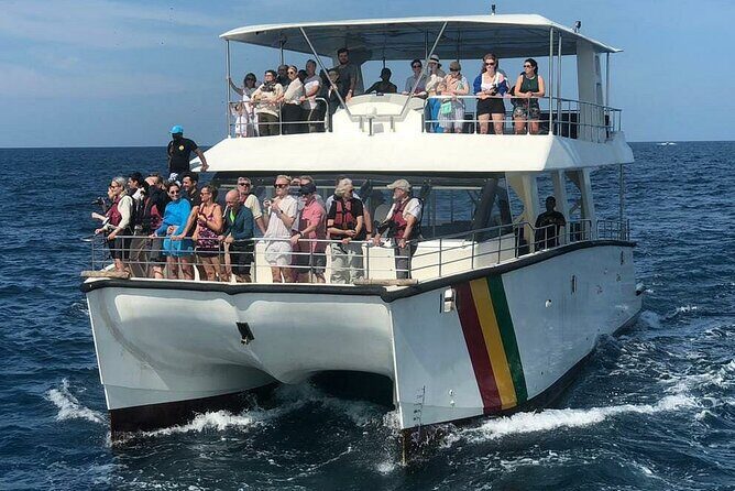 Whale Watching Mirissa with (WWC) - An In-Depth Review of Whale Watching Mirissa with WWC