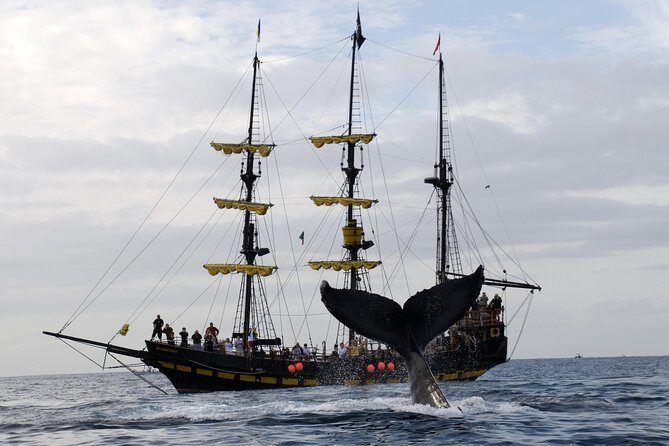 Whale-Watching Pirate Ship Cruise in Los Cabos - FAQ