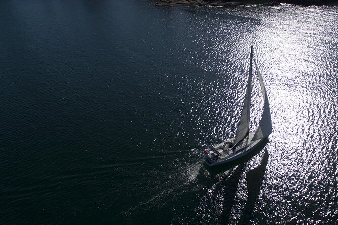 Whale Watching Sailing Experience in Sydney - The Bottom Line: Who Will Love This Tour?