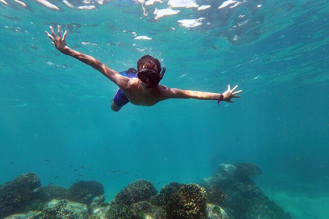 Whale Watching & Snorkeling Combo in Los Cabos with Photos Included - Whale Watching & Snorkeling Combo in Los Cabos with Photos Included: A Balanced Look