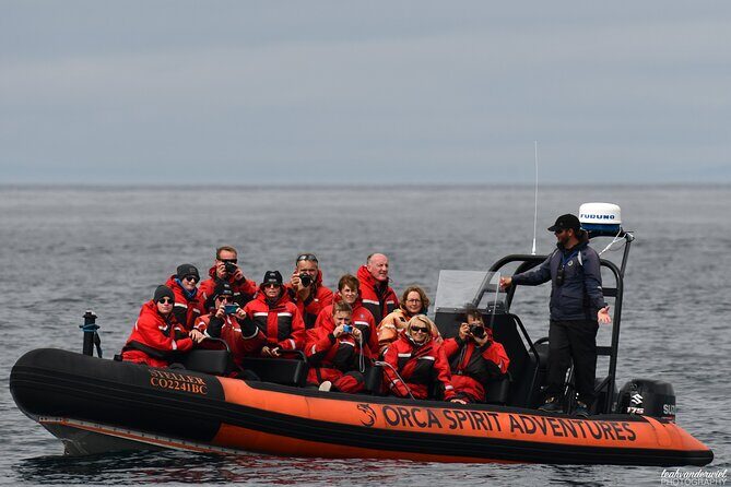 Whale Watching Tour in a Zodiac Boat in Victoria - Price and Value