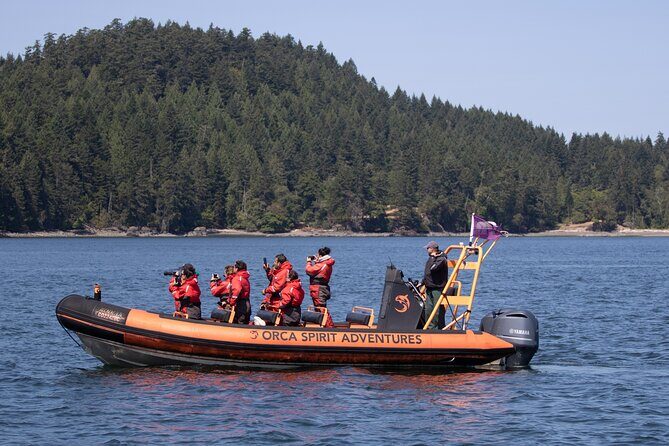 Whale Watching Tour in a Zodiac Boat in Victoria - Practical Tips for a Great Trip