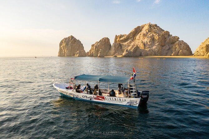 Whale Watching Tour in Cabo San Lucas - An In-Depth Look at the Whale Watching Experience in Cabo San Lucas
