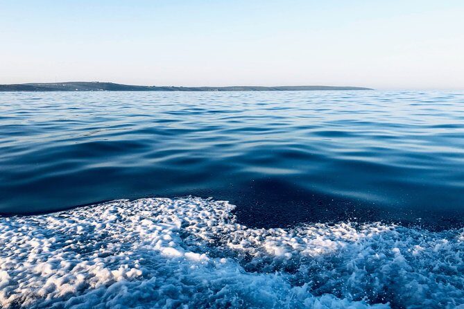 Whale Watching Tour in Hermanus with Hotel Pickup - The Experience of a Lifetime for Wildlife Lovers