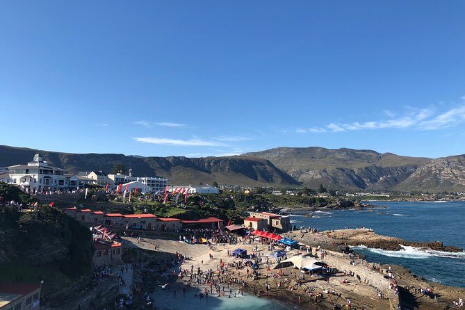 Whale Watching Tour in Hermanus with Hotel Pickup - Who Should Consider This Tour?