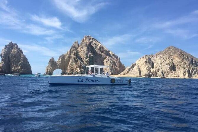 Whale Watching Tour in Los Cabos - The Sum Up