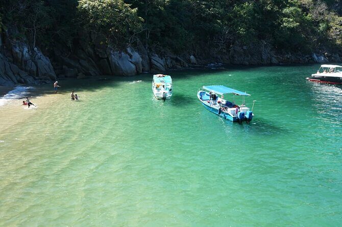 Whale watching with Snorkeling and beach Colomitos - Key Points