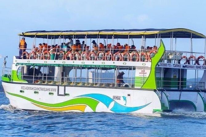 Whales and Dolphins Watching-Luxury Super Grade Cruiser(Hotel Pick up offered) - An In-Depth Look at the Mirissa Whale Watching Experience