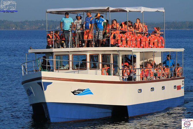 Whales and Dolphins Watching Mirissa - Who Will Love This Tour?