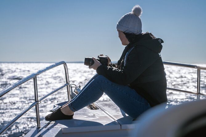 Whales of Sydney Sea Safari - Frequently Asked Questions