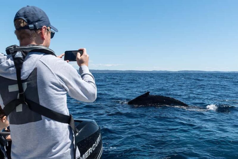 Whales of Sydney Sea Safari - Private - Key Points