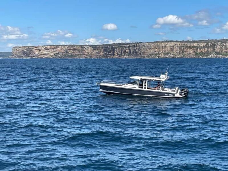 Whales of Sydney Sea Safari - Private - An In-Depth Look at the Experience