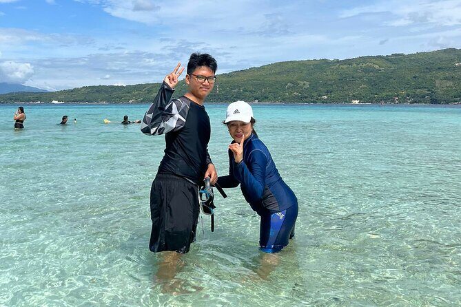 Whaleshark & Sumilon Is and Moalboal Sardines & Turtle Tour - The Value for Money