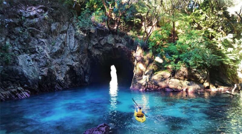 Whangamata: Donut Island Guided Kayaking Experience - Whangamata: Donut Island Guided Kayaking Experience — A Detailed Review