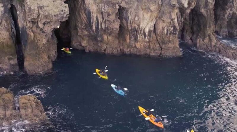 Whangamata: Donut Island Guided Kayaking Experience - The Itinerary and What You Can Expect
