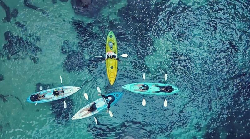 Whangamata: Donut Island Guided Kayaking Experience - The Scenery – Why It’s Worth the Trip