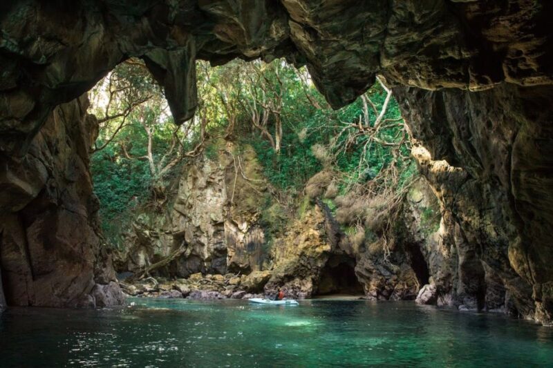 Whangamata: Donut Island Guided Kayaking Experience - Price and Value