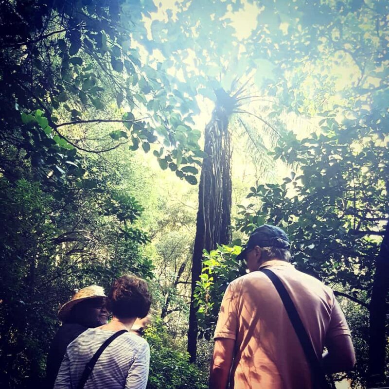 Whangrei: Private Mori Cultural Experience with Lunch - An Authentic Cultural Journey in Whangarei
