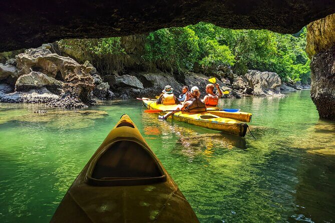 What a great combination, day cruise and night kayak with glowing biolumenescent - What This Tour Means for You