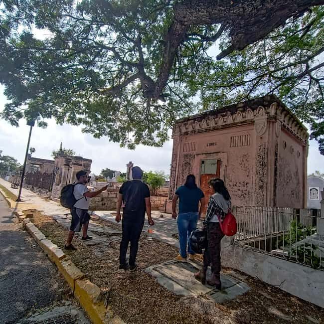 What's Day of the Dead? Merida: Cemetery Tour - Analyzing the Value: Price and Experience
