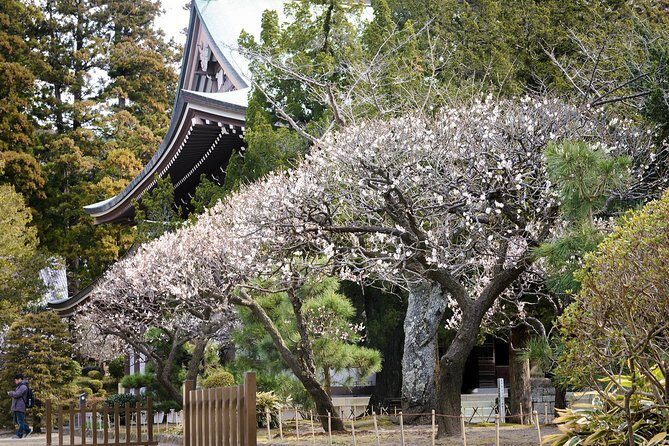 When Emperors Reigned and Shoguns Ruled - Final Thoughts
