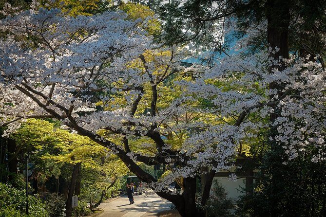 When Emperors Reigned and Shoguns Ruled - FAQ