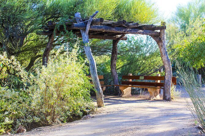 When Nature Calls - Exploring the Sonoran Desert - An In-Depth Look at the Tour Experience