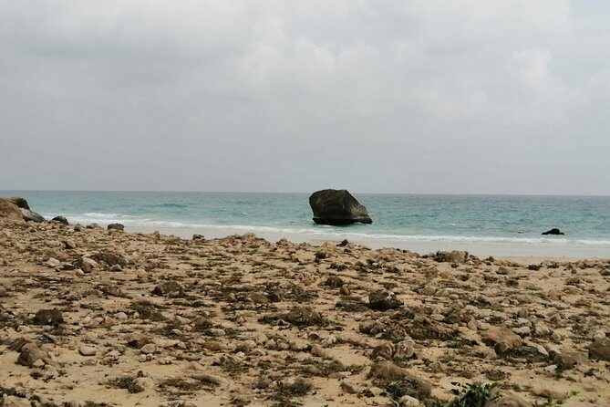Where Sea Meets Rock: A Scenic Journey to West Salalahs Shores - Marneef Cave and Natural Blowholes: Nature’s Geysers