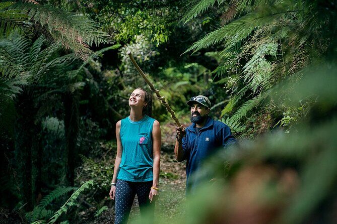 Whirinaki Forest Footsteps: Mori Guided Tour, Picnic & Transfer - An In-depth Look at the Whirinaki Forest Footsteps Tour