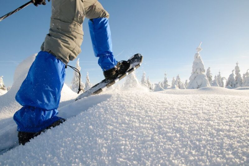 Whistler: Backcountry Snowshoeing Tour with Guide - What Makes This Tour Stand Out?
