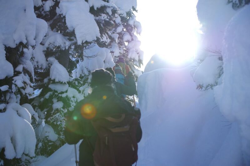 Whistler: Backcountry Snowshoeing Tour with Guide - The Itinerary: What You Can Expect