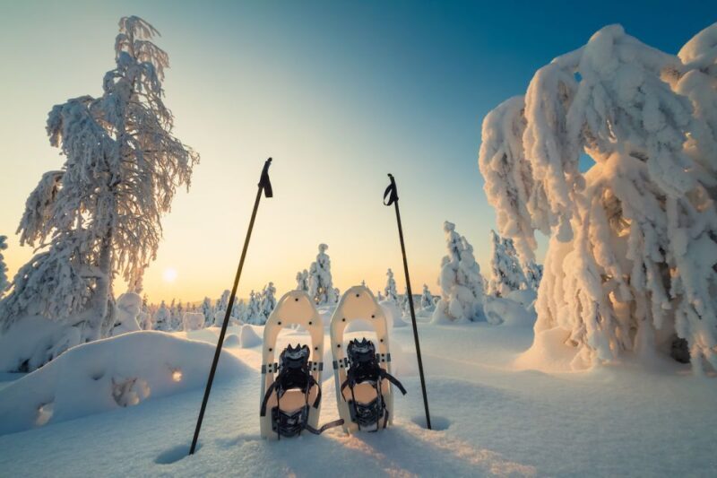Whistler: Backcountry Snowshoeing Tour with Guide - What’s Included and What to Bring