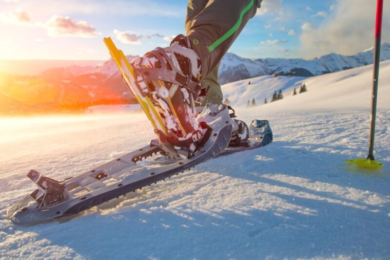 Whistler: Backcountry Snowshoeing Tour with Guide - Duration and Flexibility