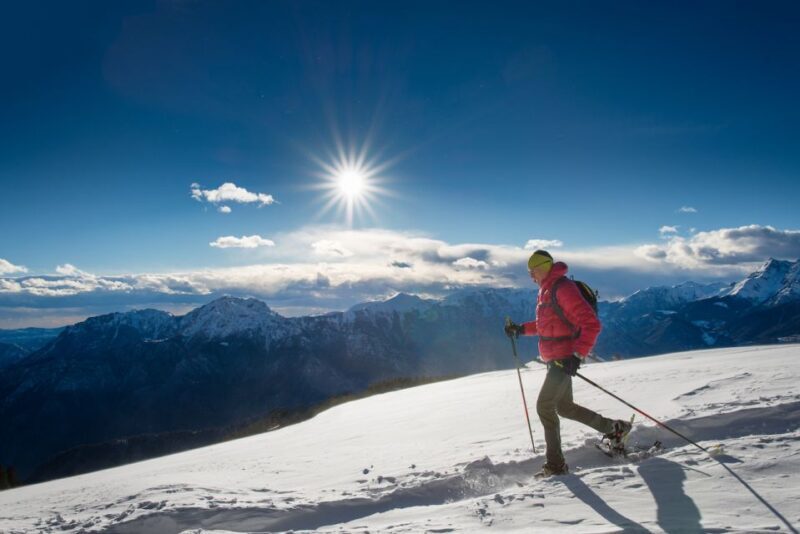 Whistler: Backcountry Snowshoeing Tour with Guide - Who Will Love This Experience?