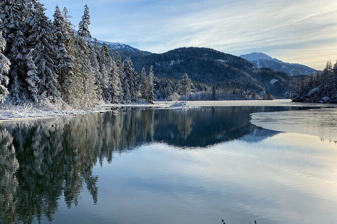 Whistler Half-Day Mountain Bike Tour - An In-Depth Look at the Whistler Mountain Bike Tour