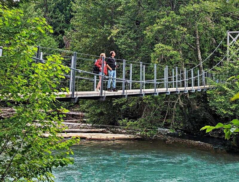 Whistler: Morning with the Bears Land Rover Scenic Excursion - Weather and Practical Tips
