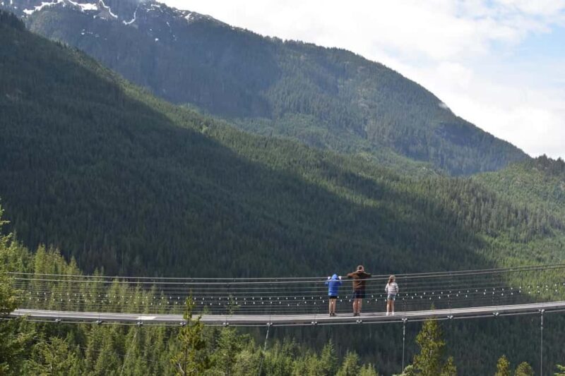 Whistler, Sea to Sky Gondola, and Shannon Falls Day Trip - Authentic Experiences from Fellow Travelers