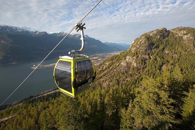 Whistler & Sea to Sky Gondola Tour with Shannon Falls Stop - Analyzing the Value