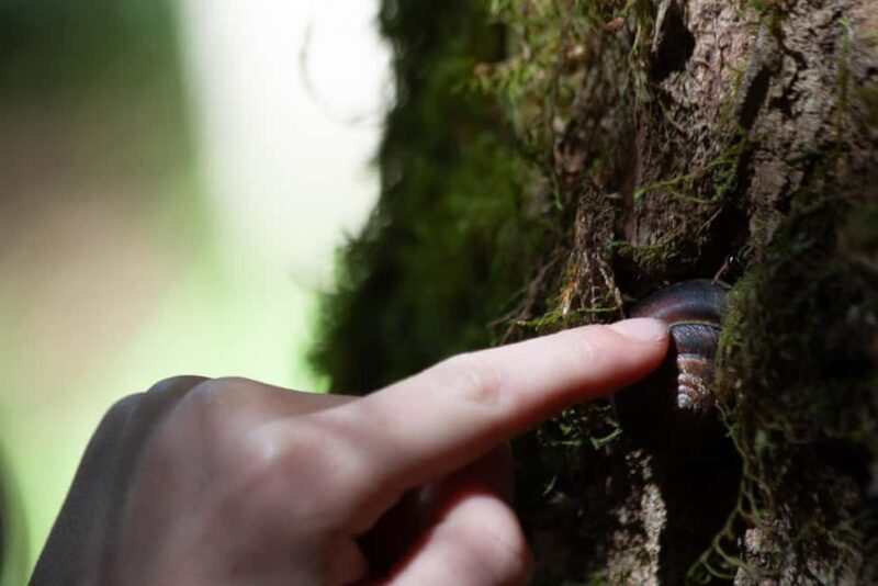 Whistler: Tour, Sensory Nature Experience for Families - Introduction: What’s This Tour All About?
