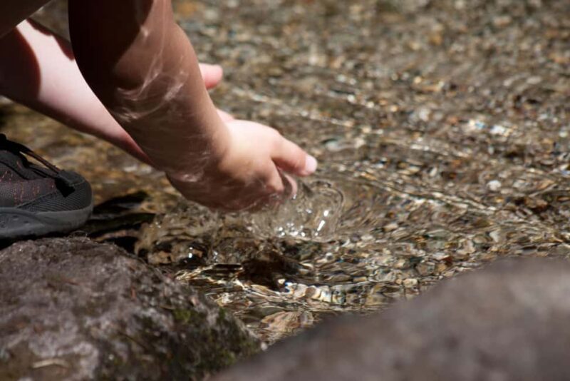 Whistler: Tour, Sensory Nature Experience for Families - Why Choose This Tour?