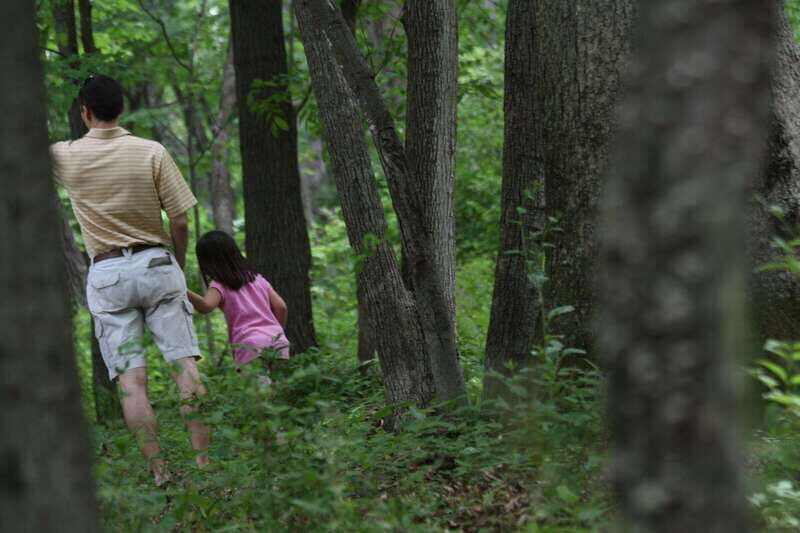 Whistler: Tour, Sensory Nature Experience for Families - Who Would Love This Tour?