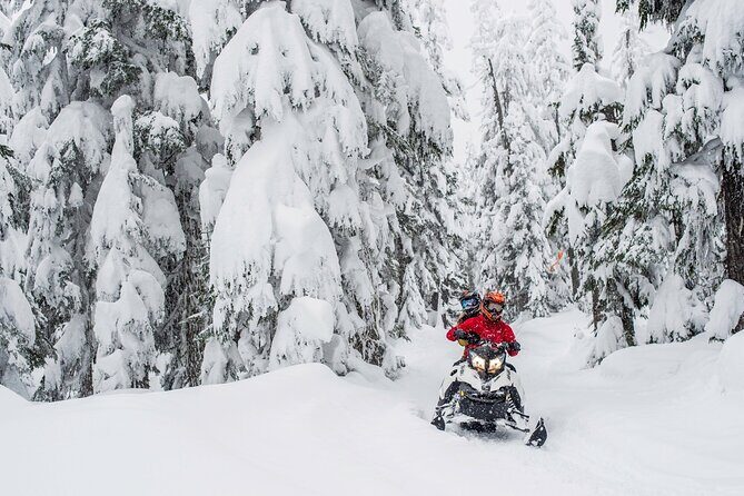 Whistler Wilderness Run Snowmobile Tour - Authentic Perspectives from Travelers