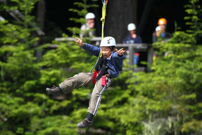 Whistler Zipline Experience: Ziptrek Bear Tour - An In-Depth Look at the Whistler Zipline Experience