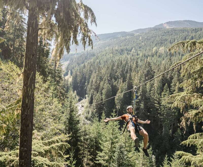 Whistler Zipline Experience: Ziptrek Bear Tour - Who Should Consider This Tour?