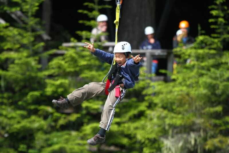 Whistler Zipline Experience: Ziptrek Bear Tour - The Sum Up: Why Choose the Ziptrek Bear Tour?