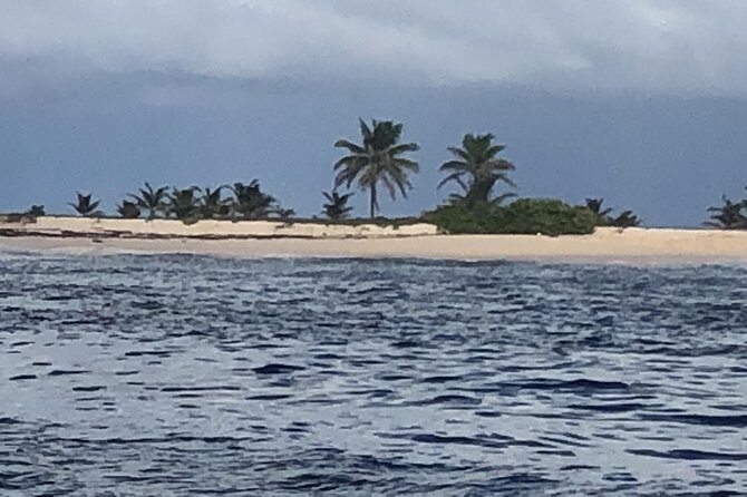 White Background Boat Tour - FAQ