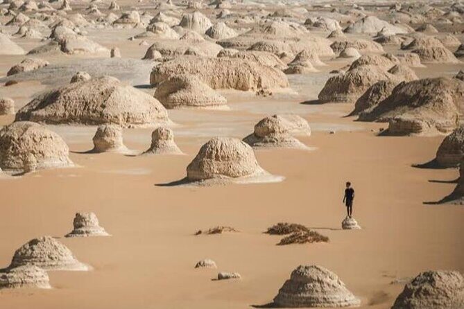 "White & Black Desert Safari 1 Night, 2 Days of Exploration" - Day 2: Sunrise, Hot Springs & Return