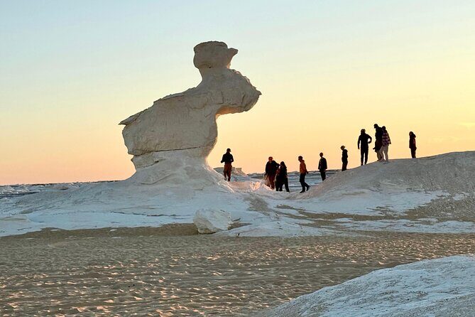 White Desert Awaits Ultimate Safari Adventure - Practical Details: What You Need to Know