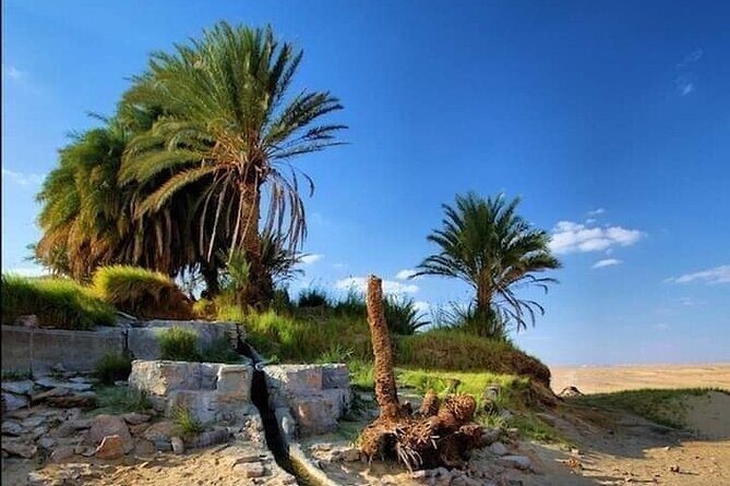 White Desert Awaits Ultimate Safari Adventure - Why This Tour Is a Great Choice